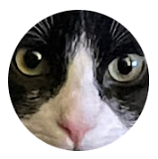 Michael and Ming logo