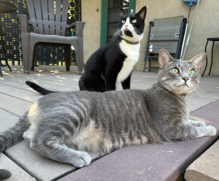 Michael and Ming on porch