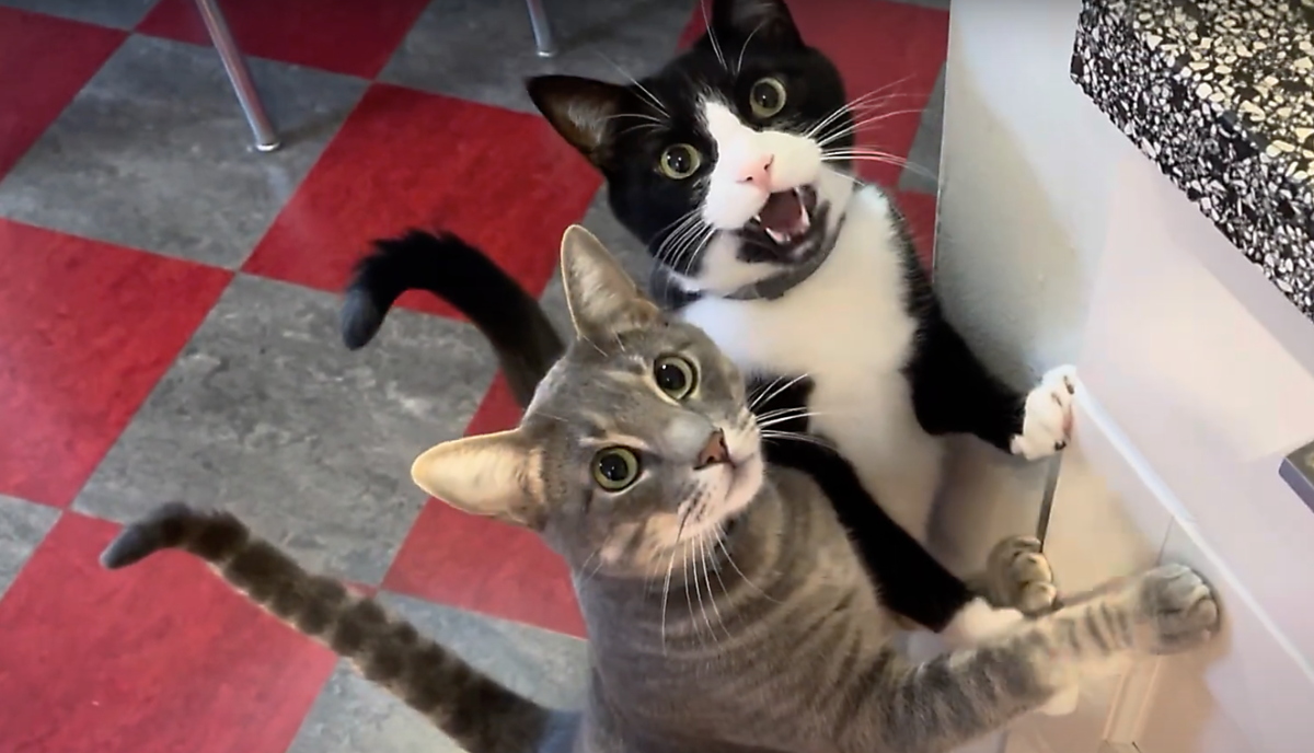 Michael and Ming getting treats